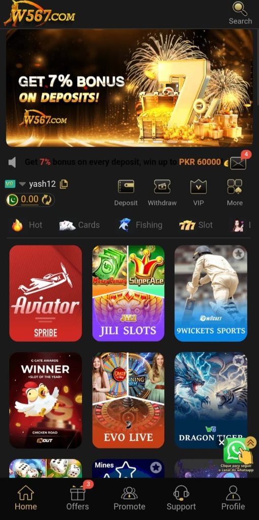 CW773 Game